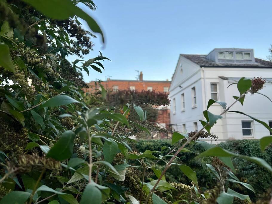 Vernon Place Town Centre, Vernon Cottage 3-Bed With Parking, 1A Vernon Court 2-Bed With Parking, 1B Studio No Parking, Off The High Street Next To Sandford Park Cheltenham Dış mekan fotoğraf
